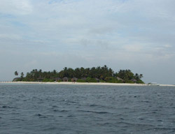 isole maldive fotografie informazioni notizie isole maldive kuramathi village resort isola di kuramathi atollo di rasdhoo e kandholhudhoo atollo di ari nord nel gennaio 2007 by Ylenia e Michele utente forum maldive gattolibero