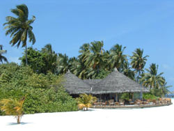 isole maldive fotografie informazioni notizie isole maldive kuramathi village resort isola di kuramathi atollo di rasdhoo e kandholhudhoo atollo di ari nord nel gennaio 2007 by Ylenia e Michele utente forum maldive gattolibero