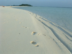 isole maldive fotografie informazioni notizie isole maldive kuramathi village resort isola di kuramathi atollo di rasdhoo e kandholhudhoo atollo di ari nord nel gennaio 2007 by Ylenia e Michele utente forum maldive gattolibero