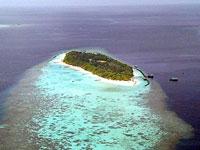isole Maldive : Lily Beach resort isola di Huvahendhoo atollo di Ari 