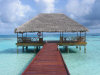 isole maldive fotografie video informazioni notizie e consigli utili moofushi resort isola di moofushi atollo di ari sud nel luglio 2007 Paola Fabrizio con il gruppo tuttomaldive