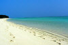 Il racconto, le fotografie, le notizie e i consigli utili del viaggio al palm beach island resort isola di madhiriguraidhoo atollo di lhaviyani nell'aprile 2008 by Giuseppe&Felicita