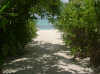 isole maldive palm beach resort foto photo informazioni isola di madhiriguraidhoo atollo di lhaviyani by Mariella maggio 2004
