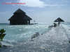 Le foto, il racconto e i consigli utili e le foto del viaggio al rannalhi island resort isola di rannalhi atollo di mal sud nel dicembre 2004 by Alessandra&Cristiano