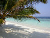 Le foto, il racconto e i consigli utili del viaggio al rannalhi resort atollo di Mal sud nel marzo 2006 by Cris&Ale