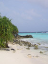 isole maldive fotografie photo informazioni consigli utili ranveli resort isola di viligilivaru atollo di ari sud nel dicembre 2006 by Sara, Alessia e Giovanni