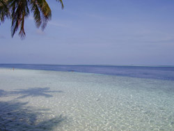isole maldive fotografie video photo informazioni consigli utili ranveli village resort isola di viligilivaru atollo di ari sud nel febbraio 2008 racconto di Patrizia, Marco, Donata, Andrea (utente forum maldive PATRIZIA G)