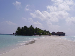 isole maldive fotografie video photo informazioni consigli utili ranveli village resort isola di viligilivaru atollo di ari sud nel febbraio 2008 racconto di Patrizia, Marco, Donata, Andrea (utente forum maldive PATRIZIA G)