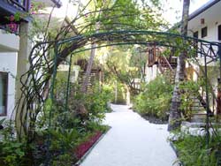 isole maldive fotografie video photo informazioni consigli utili ranveli village resort isola di viligilivaru atollo di ari sud nel febbraio 2008 racconto di Patrizia, Marco, Donata, Andrea (utente forum maldive PATRIZIA G)