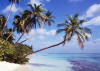 Le foto, il racconto e i consigli utili del viaggio al reethi beach  island resort isola di fonimagoodhoo atollo di baa nell'aprile 2006 by Paola&C