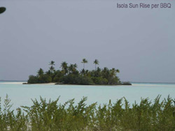 isole maldive fotografie video informazioni rihiveli beach resort isola di mahaana elhi huraa atollo di mal� sud agosto 2008 by Antonella