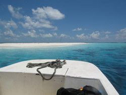 crociera maldive sharifa boat isole maldive fotografie video informazioni notizie sharifa motoryacht in legno a tre ponti di costruzione maldiviana by Blue Tribe crociera alle maldive sharifa nel marzo 2009 by Claudia e Dario di TuttoMaldive.it