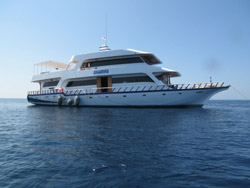 crociera maldive sharifa boat isole maldive fotografie video informazioni notizie sharifa motoryacht in legno a tre ponti di costruzione maldiviana by Blue Tribe crociera alle maldive sharifa nel marzo 2009 by Claudia e Dario di TuttoMaldive.it