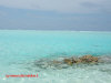 sun-island-resort