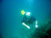 in diretta dalle maldive per www.tuttomaldive.it : patrizio.jpg roversi in immersione