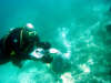in diretta dalle maldive per www.tuttomaldive.it : patrizio roversi e christian in immersione