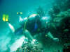 in diretta dalle maldive per www.tuttomaldive.it : patrizio roversi e glassfish 