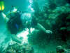 in diretta dalle maldive per www.tuttomaldive.it : patrizio roversi e glassfish