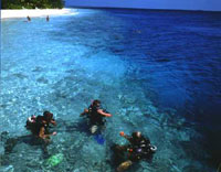 Isole Maldive Vilamendhoo resort isola di Vilamendhu atollo di Ari Sud