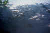 Alimatha_10.jpg (93959 byte)