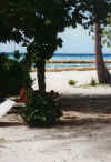 staD-08.jpg (35502 byte)