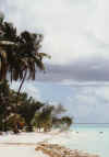 staD-17.jpg (27297 byte)