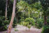 staG-01.jpg (57430 byte)