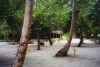 staG-08.jpg (48071 byte)