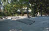 asdu41.JPG (166603 byte)