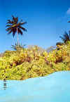 isole maldive bandos resort isola di bodubados atollo di male nord