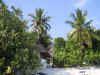 IMG_0419.jpg (88475 byte)