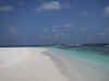 IMG_0421.jpg (20951 byte)