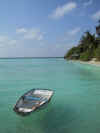 IMG_0424.jpg (19474 byte)