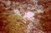 uw1_23.jpg (77386 byte)