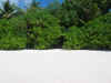 Maldive resort Holiday Island isola di Dhiffushi atollo di Ari sud by Alice&Mario