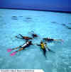 Eriyadhu_diveinlagoon.jpg (21358 byte)