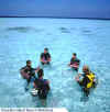 Eriyadhu_divelearn.jpg (24792 byte)