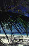 Foto_04.jpeg (71087 byte)