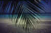Foto_06.jpeg (65600 byte)