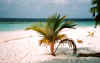 Fihalhohi 60 vista mare.JPG (56007 byte)