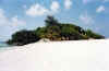 Vaangali 4.JPG (42361 byte)