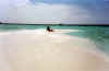 Vaangali 5.JPG (35490 byte)