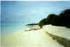 FunIsland003.jpg (58785 byte)