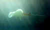 FunIsland010.JPG (152089 byte)
