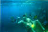 FunIsland15.jpg (104421 byte)