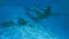 FunIsland19.jpg (33021 byte)