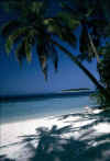 Ihuru_8L.jpg (34197 byte)