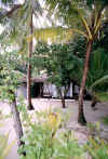 Ihuru_9L.jpg (59870 byte)