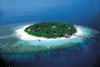 Ihuru altoL.jpg (39241 byte)