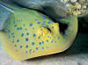 isole Maldive Photo gallery Kihaad resort  isola di Kihaadhuffaru Atollo di Baa